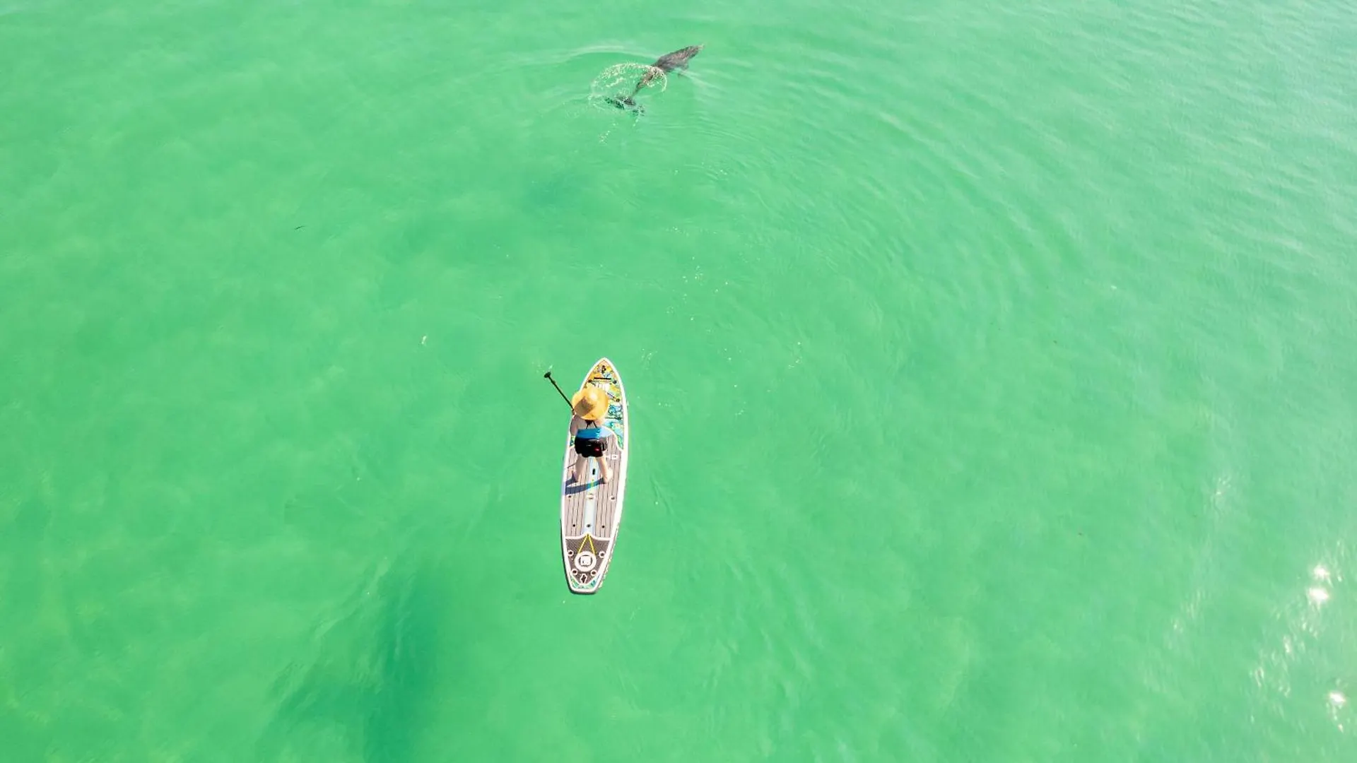 Apartment Oceania 906- By Holiday Isle Properties Destin United States