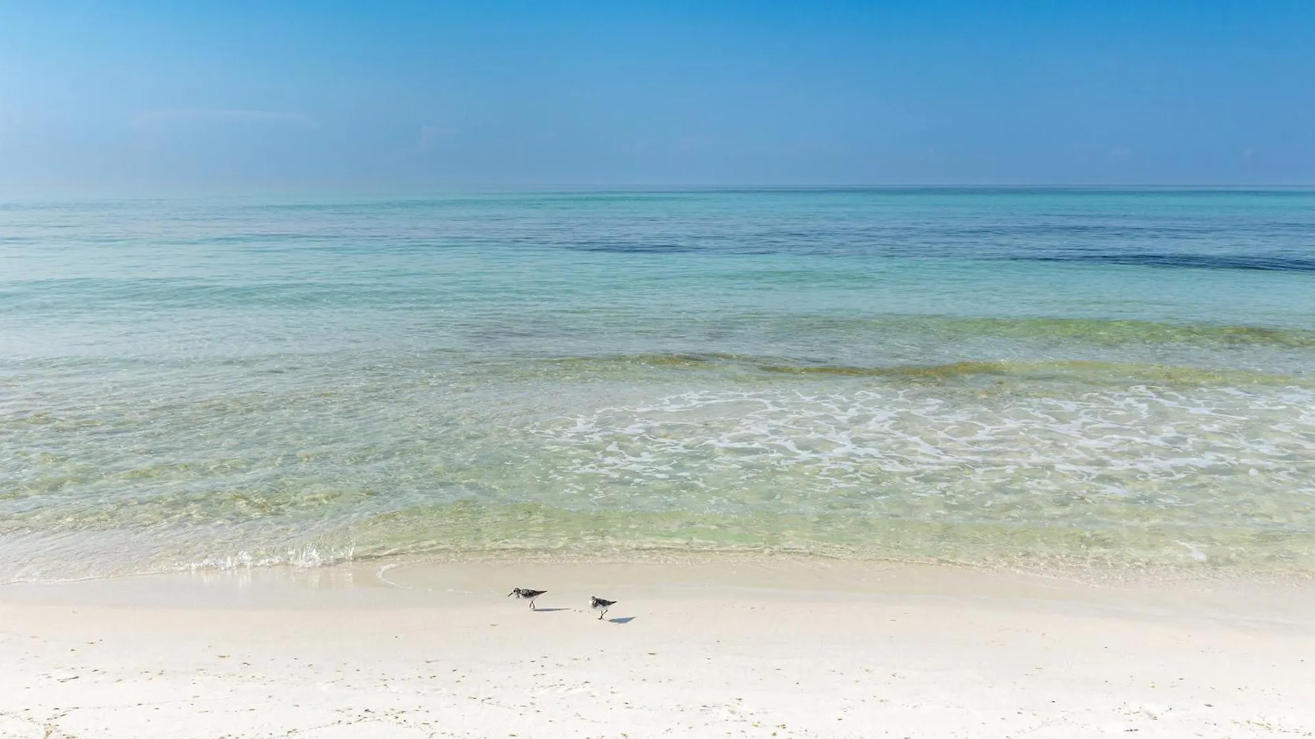 Oceania 906- By Holiday Isle Properties Destin 0*,  United States