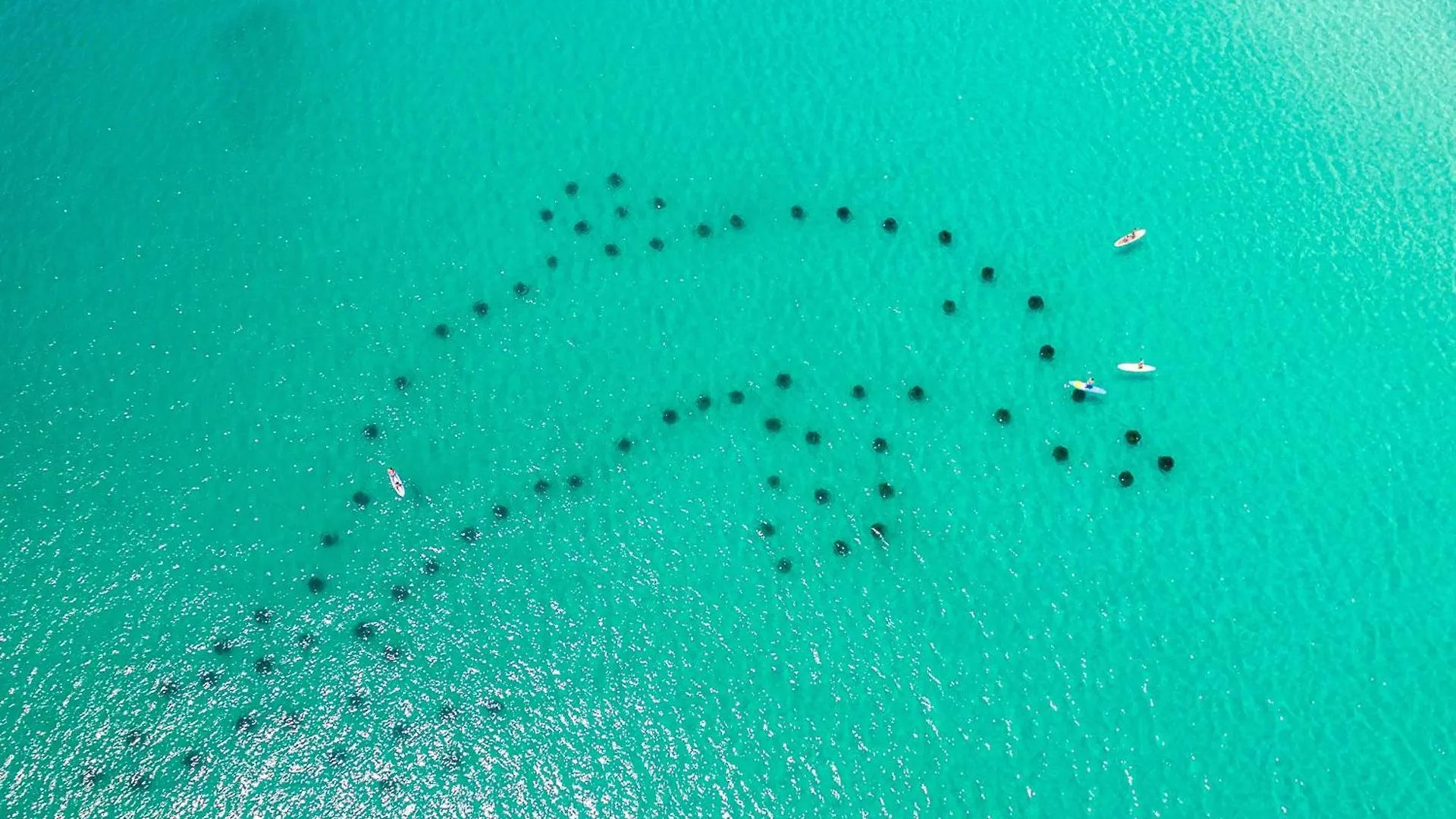 Oceania 906- By Holiday Isle Properties Destin United States